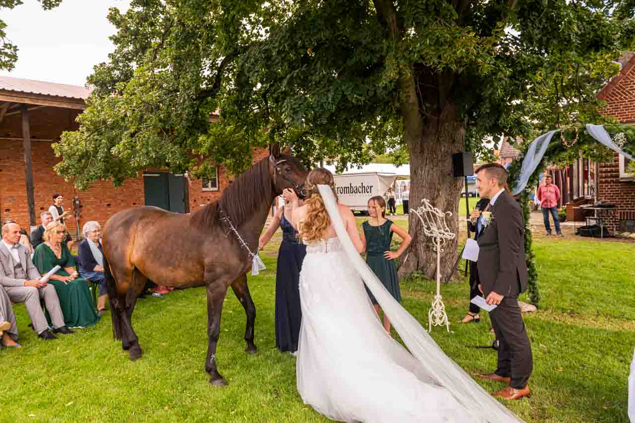 20250802_134238 wedding dream pictures